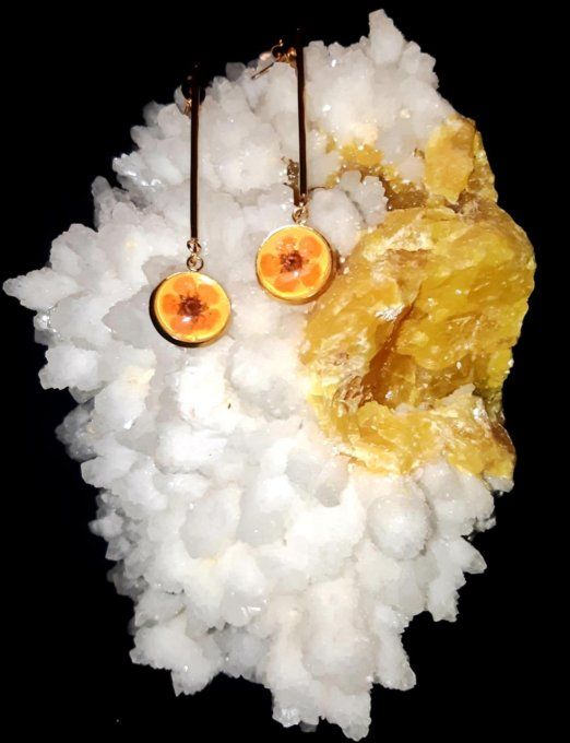 Boucles d'oreilles