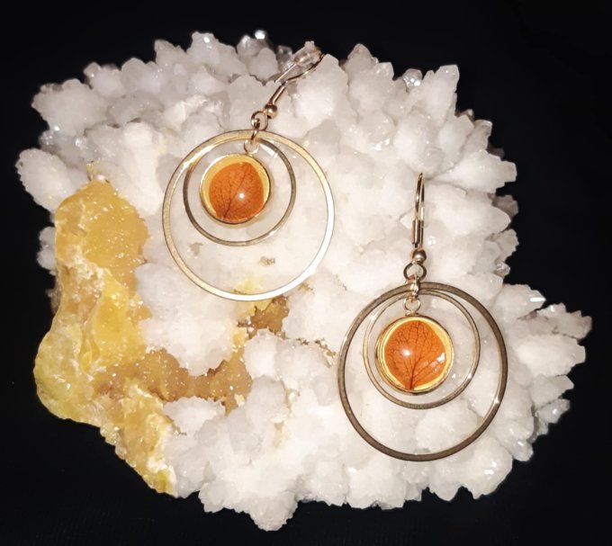 Boucles d'oreilles